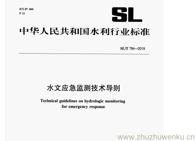 SL/T 784-2019 pdf下载 水文应急监测技术导则