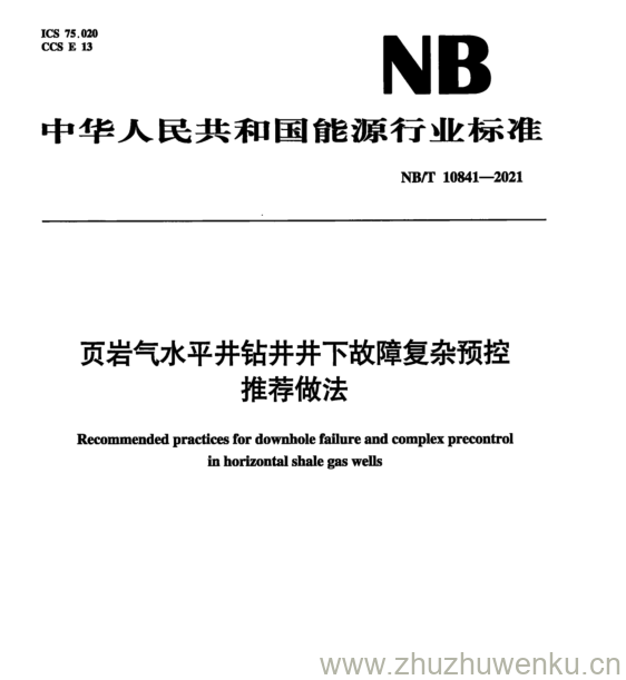 NB/T 10841-2021 pdf下载 页岩气水平井钻井井下故障复杂预控 推荐做法