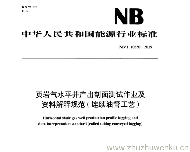 NB/T 10250-2019 pdf下载 页岩气水平井产出剖面测试作业及 资料解释规范(连续油管工艺)