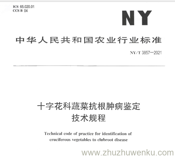 NY/T 3857-2021 pdf下载 十字花科蔬菜抗根肿病鉴定 技术规程