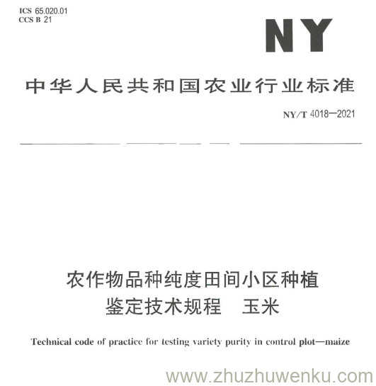 NY/T 4018-2021 pdf下载 农作物品种纯度田间小区种植 鉴定技术规程玉米