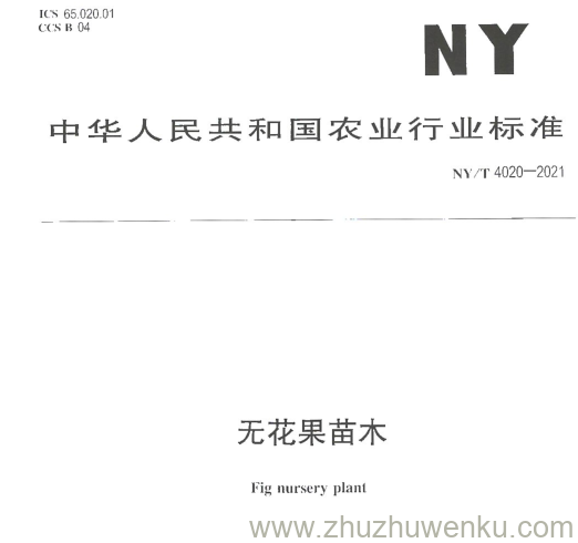 NY/T 4020-2021 pdf下载 无花果苗木