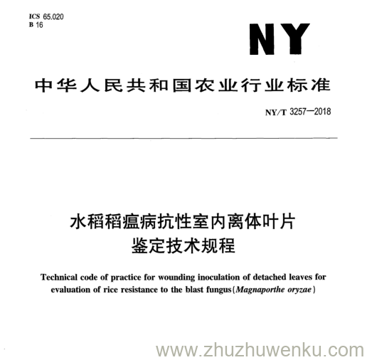 NY/T 3257-2018 pdf下载 水稻稻瘟病抗性室内离体叶片 鉴定技术规程