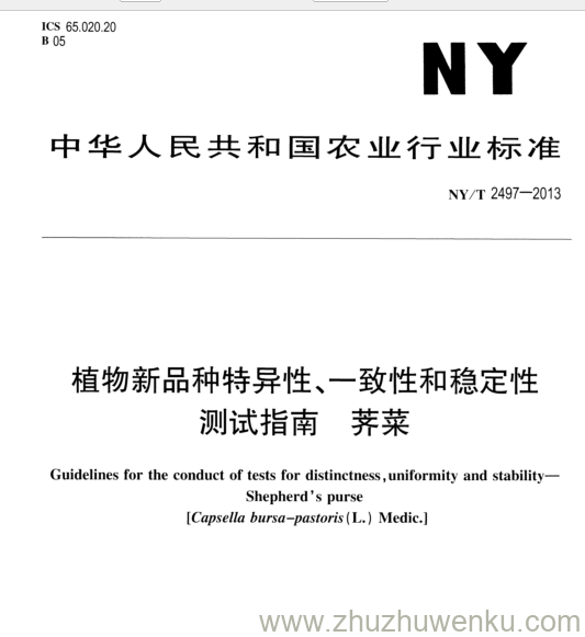 NY/T 2497-2013 pdf下载 植物新品种特异性、一致性和稳定性 测试指南 荠菜