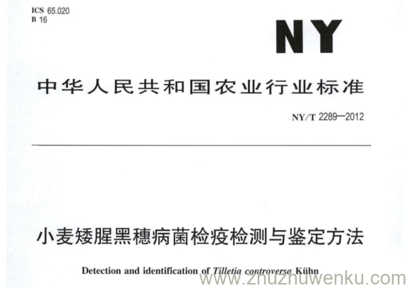 NY/T 2289-2012 pdf下载 小麦矮腥黑穗病菌检疫检测与鉴定方法