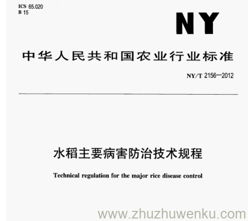 NY/T 2156-2012 pdf下载 水稻主要病害防治技术规程