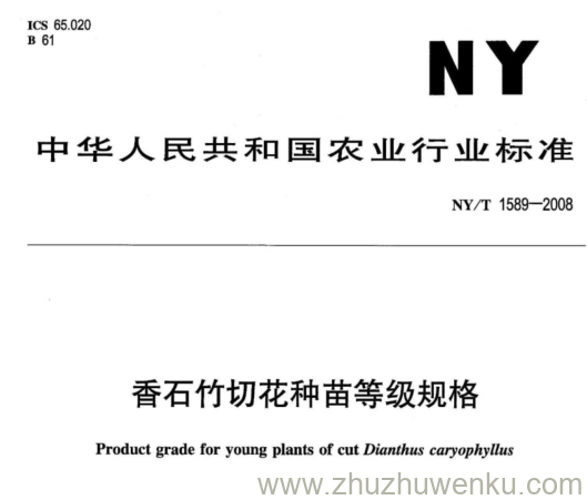 NY/T 1589-2008 pdf下载 香石竹切花种苗等级规格